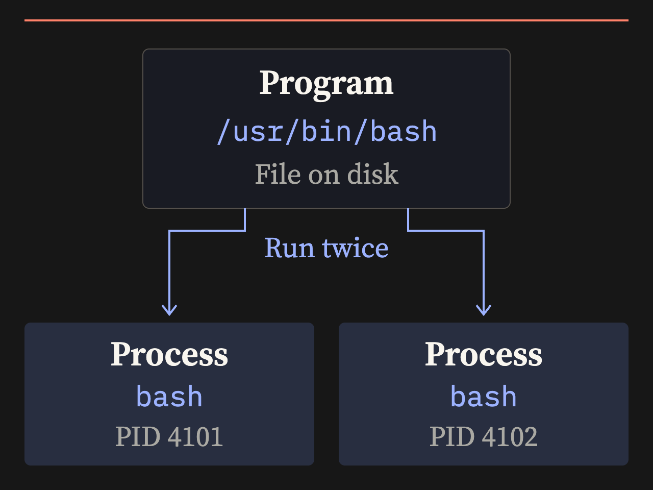 One Bash program file on disk, /usr/bin/bash, is run twice. Two separate Bash processes have example PIDs 4101 and 4102. The program file remains on disk.