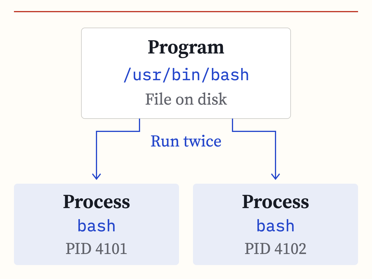 One Bash program file on disk, /usr/bin/bash, is run twice. Two separate Bash processes have example PIDs 4101 and 4102. The program file remains on disk.